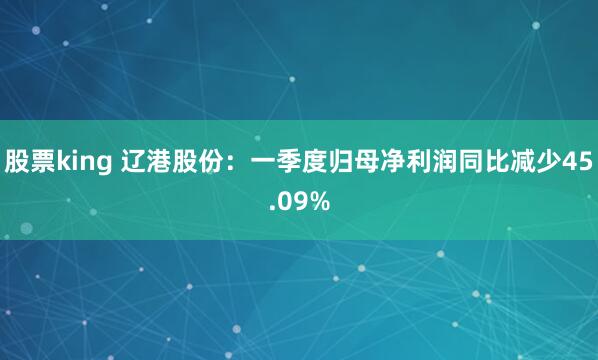 股票king 辽港股份：一季度归母净利润同比减少45.09%
