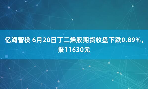 亿海智投 6月20日丁二烯胶期货收盘下跌0.89%，报11630元