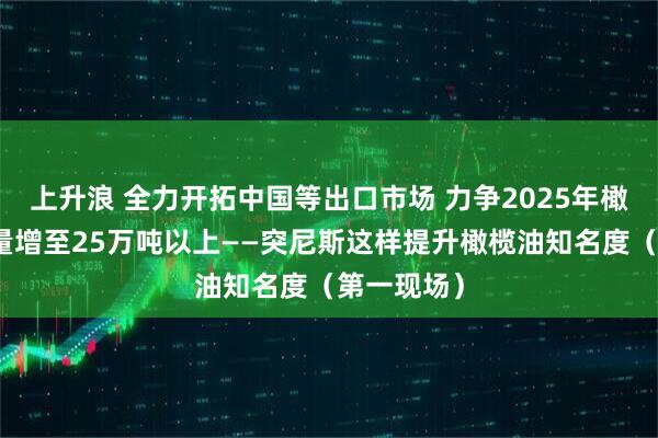 上升浪 全力开拓中国等出口市场 力争2025年橄榄油出口量增至25万吨以上——突尼斯这样提升橄榄油知名度（第一现场）
