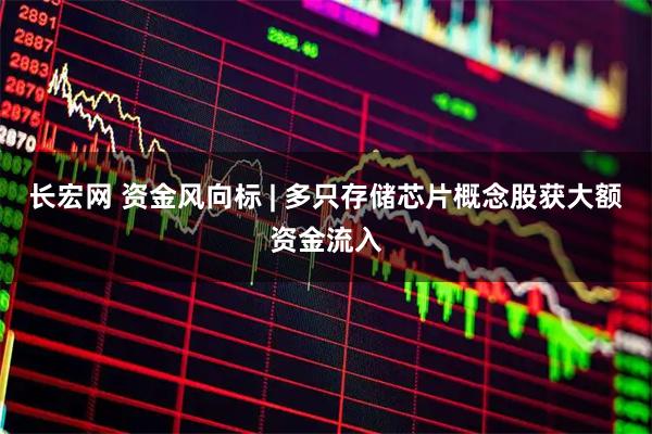 长宏网 资金风向标 | 多只存储芯片概念股获大额资金流入