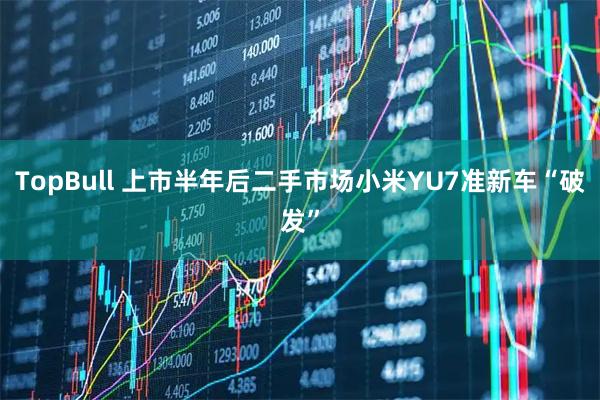 TopBull 上市半年后二手市场小米YU7准新车“破发”