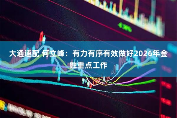 大通速配 何立峰：有力有序有效做好2026年金融重点工作