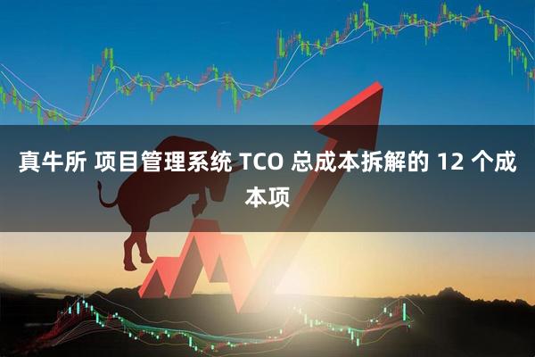 真牛所 项目管理系统 TCO 总成本拆解的 12 个成本项
