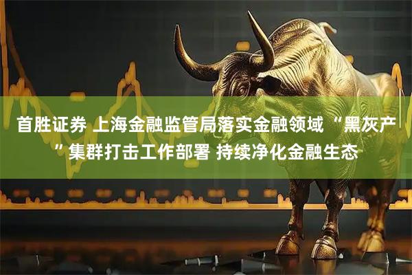 首胜证券 上海金融监管局落实金融领域 “黑灰产”集群打击工作部署 持续净化金融生态