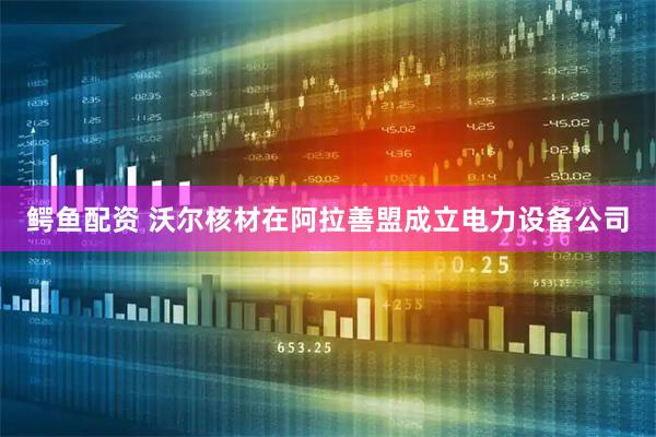 鳄鱼配资 沃尔核材在阿拉善盟成立电力设备公司