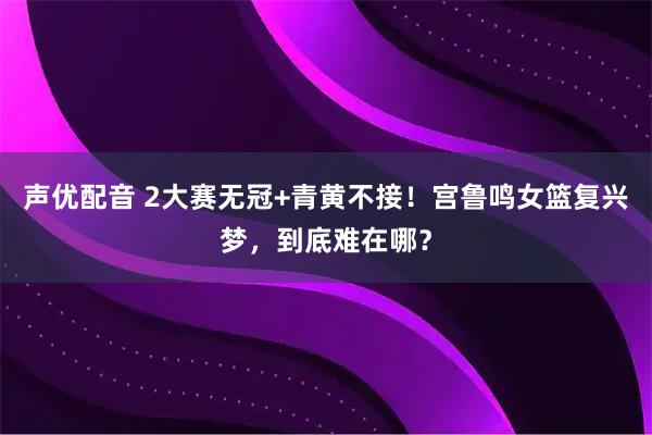 声优配音 2大赛无冠+青黄不接！宫鲁鸣女篮复兴梦，到底难在哪？