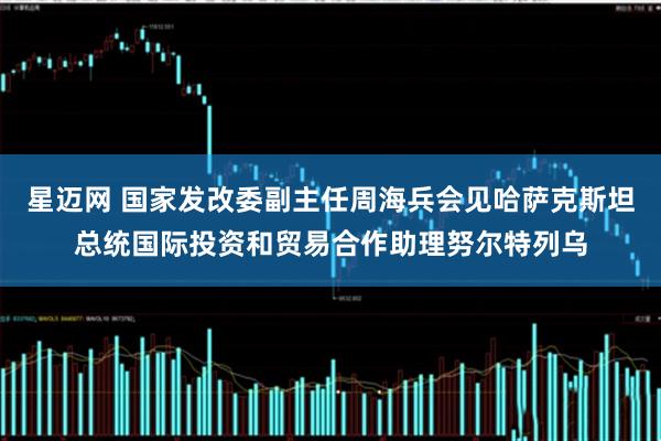 星迈网 国家发改委副主任周海兵会见哈萨克斯坦总统国际投资和贸易合作助理努尔特列乌